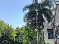 -厦门悦华酒店