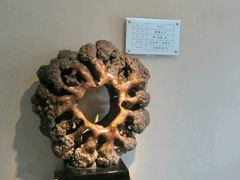 -金钉子远古世界景区