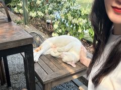 -喜洲吧·江畔老船厂·庭院餐厅(喜临院店)
