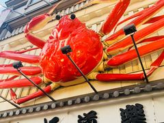 -蟹道乐(道顿堀本店)