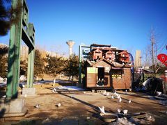 -永定河休闲森林公园