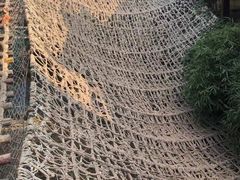 -呀路古热带植物园