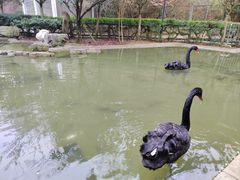 -黔灵山公园