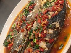 千岛湖野生有机鱼-丰乐餐厅·始于1999·本地老字号