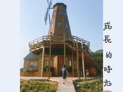 -大塘金香草谷