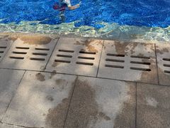 -三亚亚龙湾瑞吉度假酒店