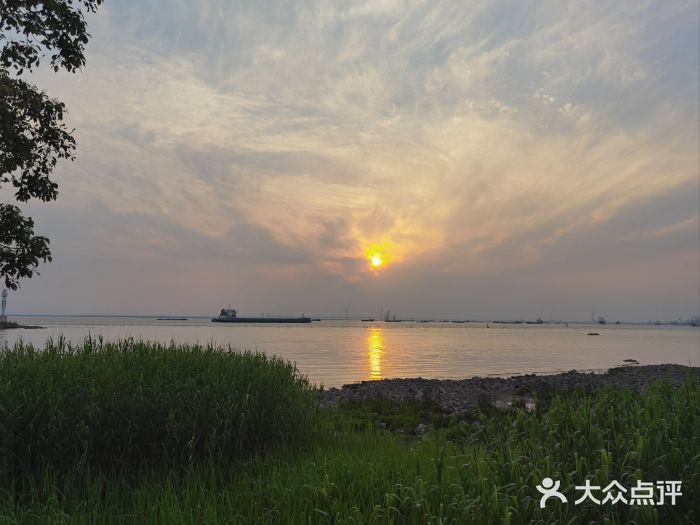 滨江公园-停车场图片