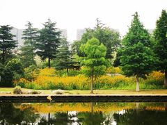 -桃花岛公园