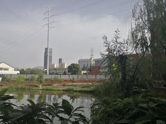 -雁滩公园