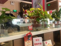 -嘉和一品粥(魏公村店)