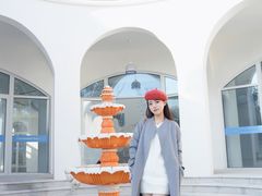 -中华赏石园