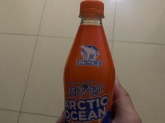 北冰洋桔汁-百年义利(福长街店)