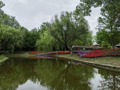 -东平国家森林公园