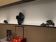 -觅唐MITONG(鸟巢店)