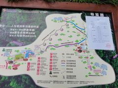 -野象谷景区