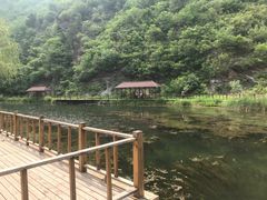 -白河湾生态旅游一条川