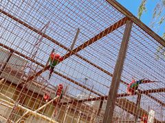 -石家庄市动物园