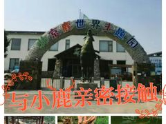 -北京鹿世界主题园