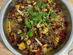 -食神又名厕所兔