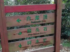 -火炉山森林公园