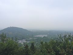 -上海佘山国家森林公园天马山园