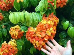 -文龙国际健身院