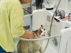 -comecome来吧宠物(奥克斯中心店)