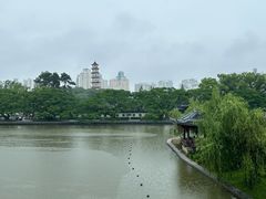 -江心屿景区