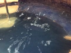 -天泉水都(子固路馆)