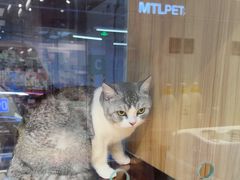 -FAELING PETS美天灵宠物(富力广场店)