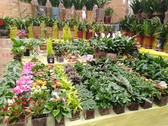 -秦美花卉(天朗·莱茵小城2期店)