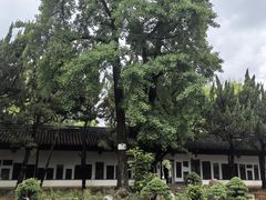 -苏州文庙(姑苏区)