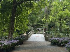 -广西壮族自治区药用植物园