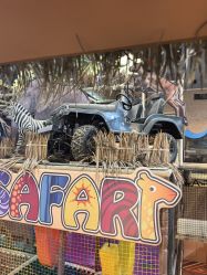 -卡通尼·Safari非洲探索乐园·生日会(金桥国际商业广场店)