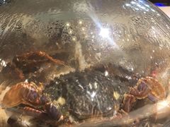-蓝珊甄选海鲜自助·火锅大排档(近阿那亚店)