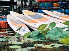 -WhaleSports户外水上运动俱乐部(朝阳公园店)