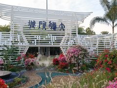-莲花山公园