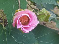 -四里河滨水生态公园