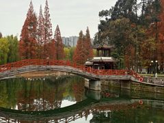 -温江公园