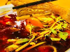 极品耗儿鱼-川东长筷子耗儿鱼(万象润街店)