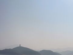 -望湖烤鱼