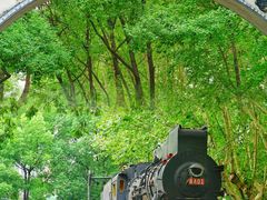 -江墅铁路遗址公园