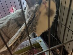 -第三空间·趣味桌游·轰趴.室内CS.剧本杀(大武汉1911店)