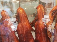 -顺城金记卤鸡·清真