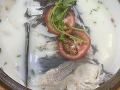 -全乐鱼馆·淳牌有机鱼直营店