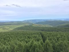 亮兵台-塞罕坝国家级自然保护区