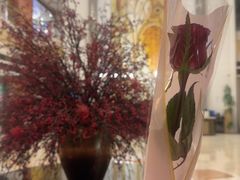 -维也纳国际酒店·苏州高铁北站相城太平店