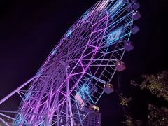 -弘阳·未来世界(弘阳广场店)