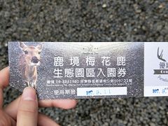 -鹿境梅花鹿生态园区