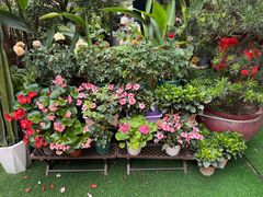 -山水茶艺馆·点心粤菜·30年老字号